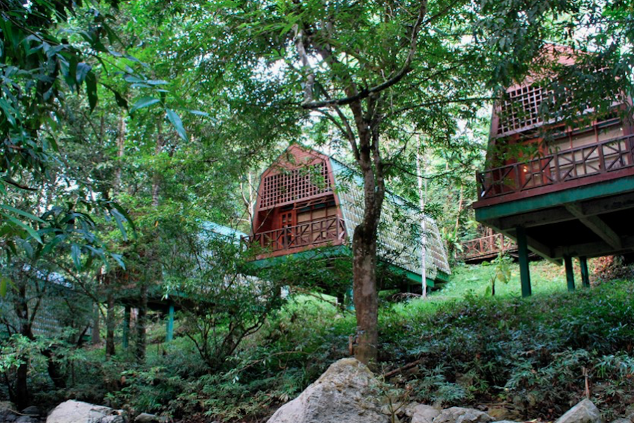 Tabin Resort
